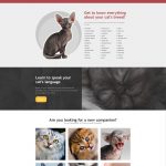 Cat sample website